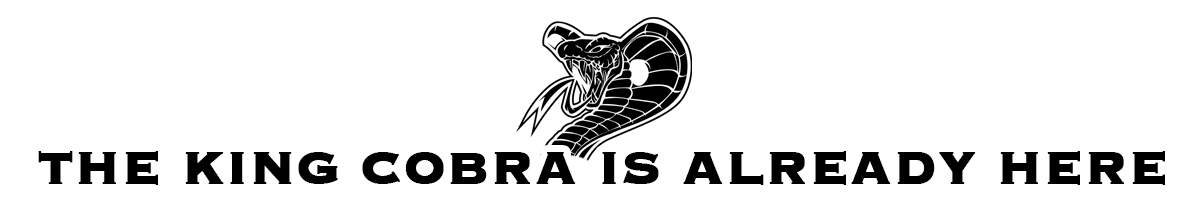 new model motorcycle seat - King Cobra new model motorcycle seat - King Cobra